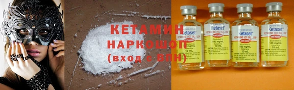 дживик Няндома