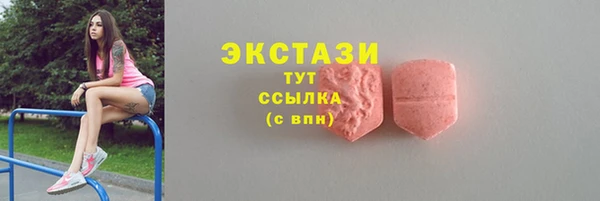 дживик Няндома