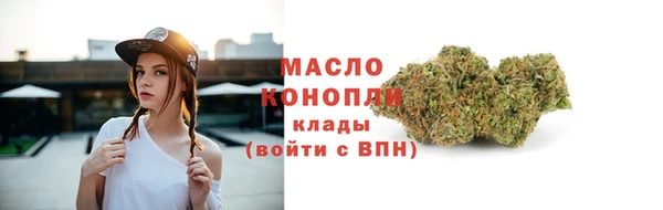 дживик Няндома