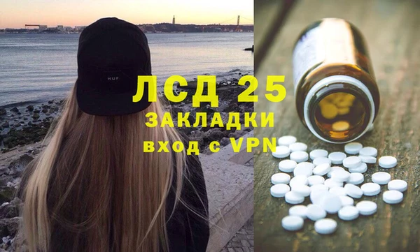 дживик Няндома