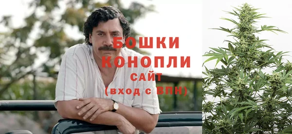 дживик Няндома