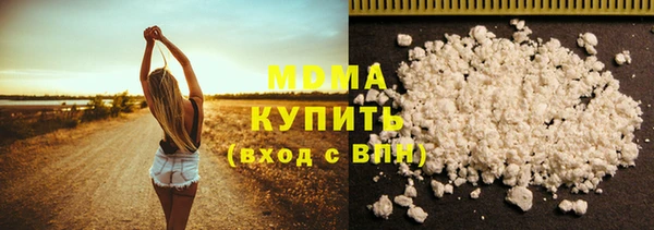 дживик Няндома