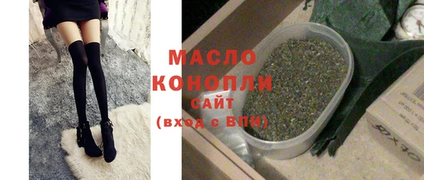 дживик Няндома