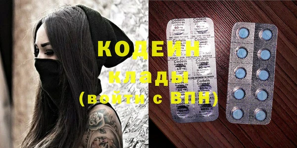 дживик Няндома