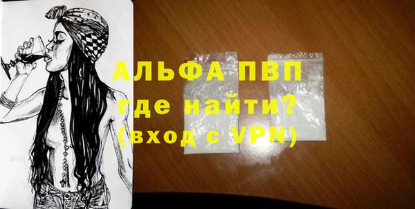 дживик Няндома