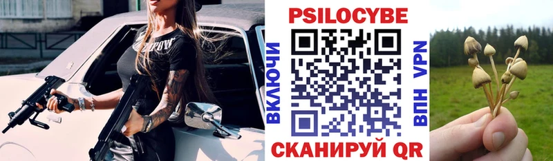 Купить закладки  Покачи  Псилоцибиновые грибы мицелий 
